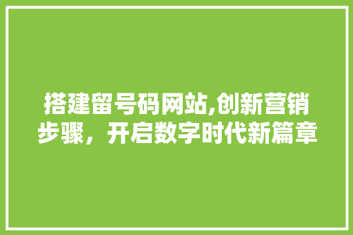 搭建留号码网站,创新营销步骤，开启数字时代新篇章