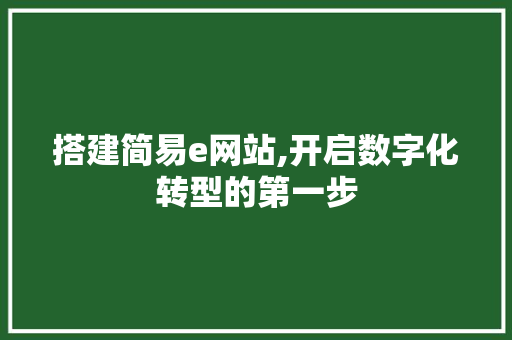 搭建简易e网站,开启数字化转型的第一步