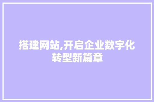 搭建网站,开启企业数字化转型新篇章
