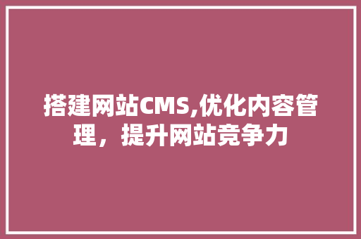 搭建网站CMS,优化内容管理，提升网站竞争力