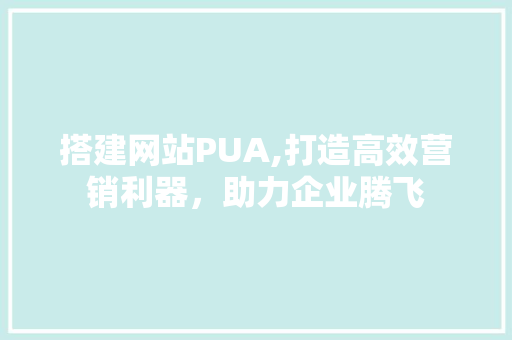 搭建网站PUA,打造高效营销利器，助力企业腾飞