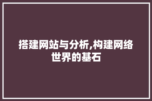 搭建网站与分析,构建网络世界的基石 搭建网站与分析,构建网络世界的基石 网站建设公司