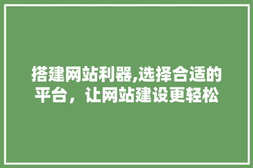 搭建网站利器,选择合适的平台，让网站建设更轻松