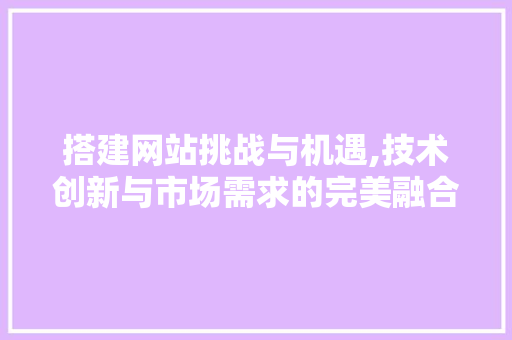 搭建网站挑战与机遇,技术创新与市场需求的完美融合