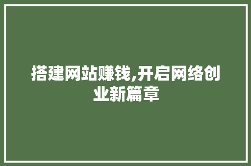 搭建网站赚钱,开启网络创业新篇章