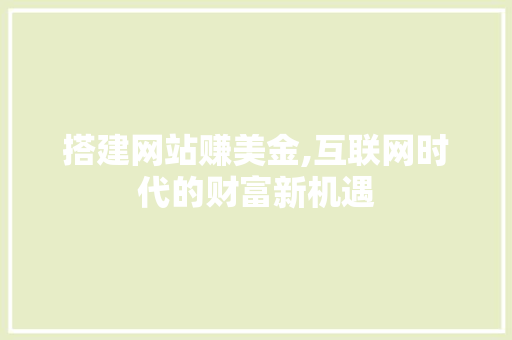 搭建网站赚美金,互联网时代的财富新机遇