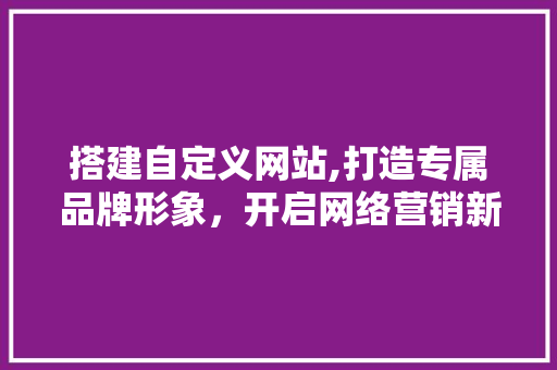 搭建自定义网站,打造专属品牌形象，开启网络营销新篇章