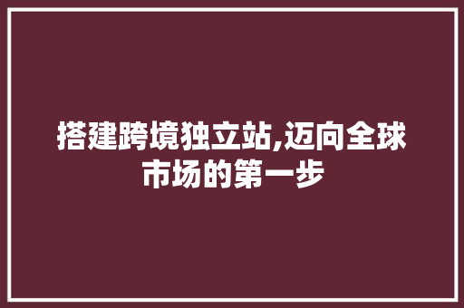 搭建跨境独立站,迈向全球市场的第一步