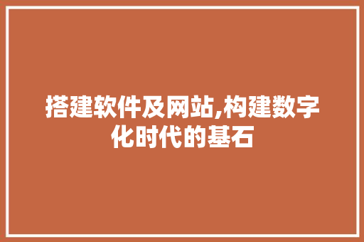 搭建软件及网站,构建数字化时代的基石