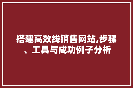搭建高效线销售网站,步骤、工具与成功例子分析 搭建高效线销售网站,步骤、工具与成功例子分析 神马SEO