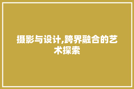 摄影与设计,跨界融合的艺术探索
