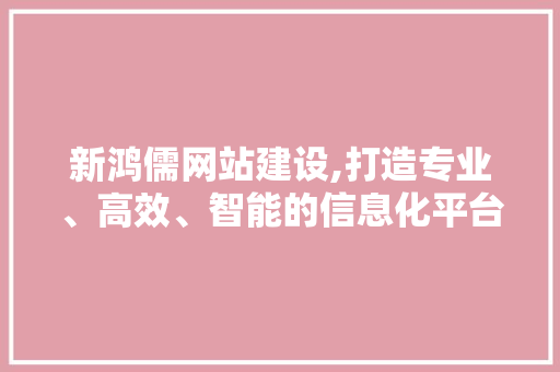 新鸿儒网站建设,打造专业、高效、智能的信息化平台