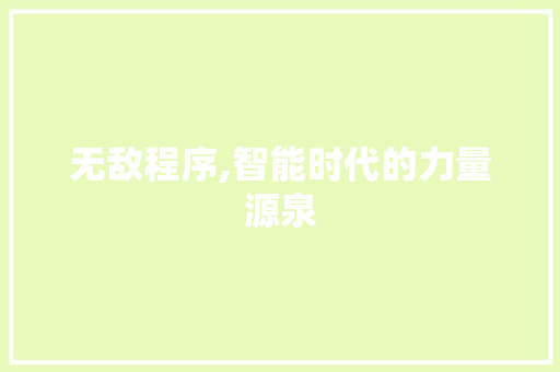 无敌程序,智能时代的力量源泉