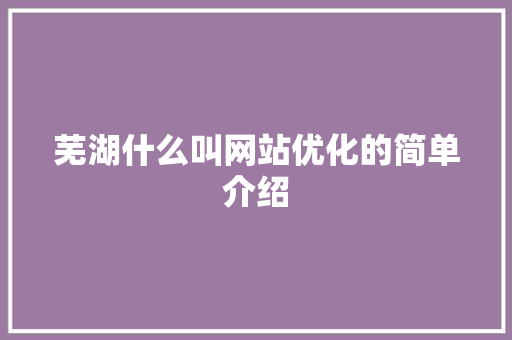芜湖什么叫网站优化的简单介绍 芜湖什么叫网站优化的简单介绍 百度SEO