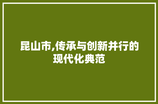 昆山市,传承与创新并行的现代化典范 昆山市,传承与创新并行的现代化典范 必应SEO