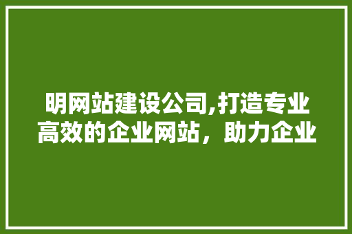明网站建设公司,打造专业高效的企业网站，助力企业腾飞