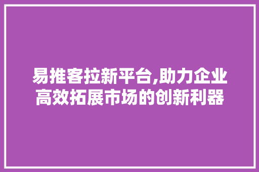 易推客拉新平台,助力企业高效拓展市场的创新利器