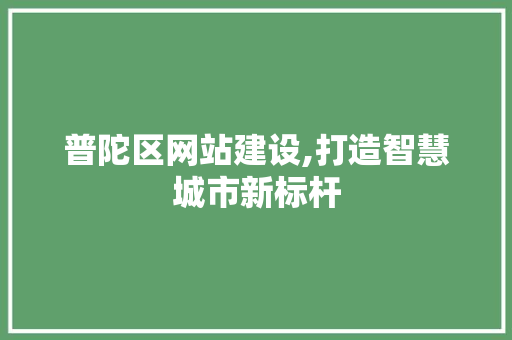 普陀区网站建设,打造智慧城市新标杆
