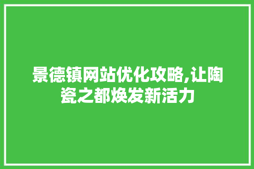 景德镇网站优化攻略,让陶瓷之都焕发新活力