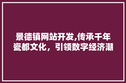景德镇网站开发,传承千年瓷都文化，引领数字经济潮流