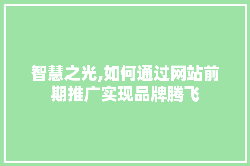 智慧之光,如何通过网站前期推广实现品牌腾飞