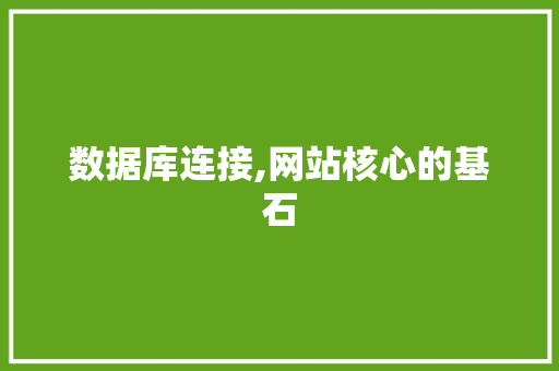 数据库连接,网站核心的基石
