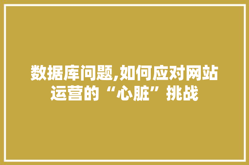 数据库问题,如何应对网站运营的“心脏”挑战