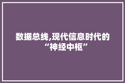 数据总线,现代信息时代的“神经中枢”