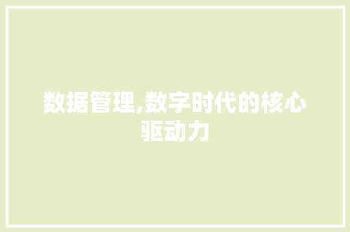 数据管理,数字时代的核心驱动力