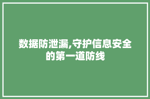 数据防泄漏,守护信息安全的第一道防线