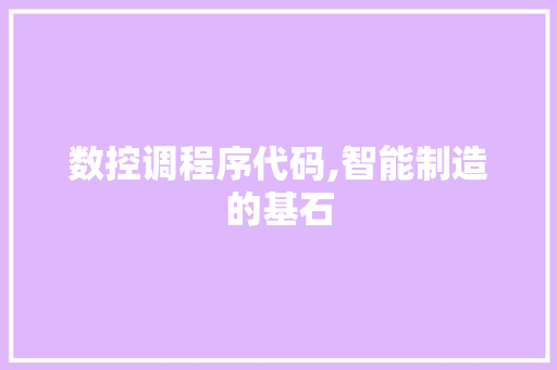数控调程序代码,智能制造的基石