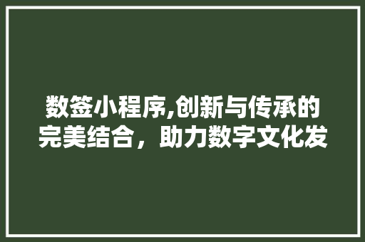 数签小程序,创新与传承的完美结合，助力数字文化发展