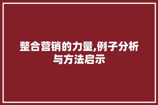 整合营销的力量,例子分析与方法启示