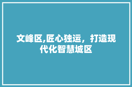文峰区,匠心独运，打造现代化智慧城区
