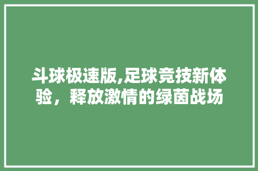 斗球极速版,足球竞技新体验，释放激情的绿茵战场