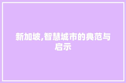 新加坡,智慧城市的典范与启示
