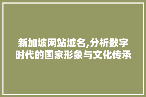 新加坡网站域名,分析数字时代的国家形象与文化传承