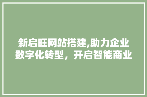 新启旺网站搭建,助力企业数字化转型，开启智能商业新时代