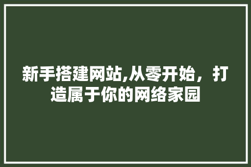新手搭建网站,从零开始，打造属于你的网络家园