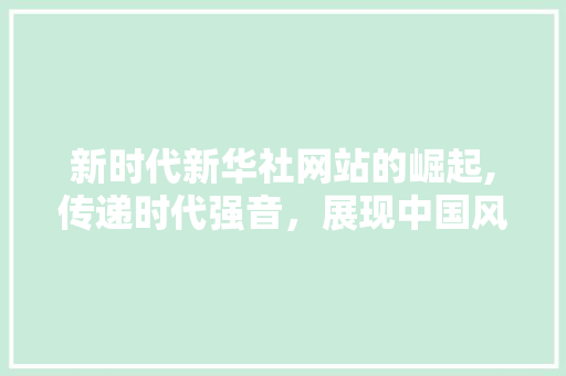 新时代新华社网站的崛起,传递时代强音，展现中国风采