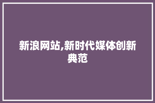 新浪网站,新时代媒体创新典范 新浪网站,新时代媒体创新典范 神马SEO