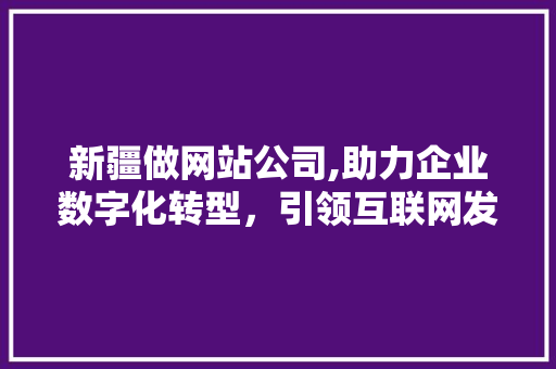 新疆做网站公司,助力企业数字化转型，引领互联网发展新趋势