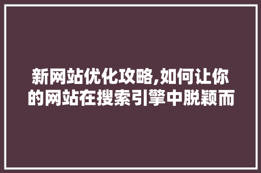 新网站优化攻略,如何让你的网站在搜索引擎中脱颖而出