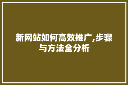 新网站如何高效推广,步骤与方法全分析 SEO关键词 新网站如何高效推广,步骤与方法全分析 新网站如何高效推广,步骤与方法全分析 SEO关键词