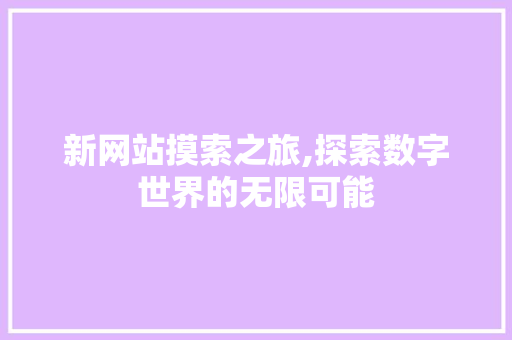 新网站摸索之旅,探索数字世界的无限可能
