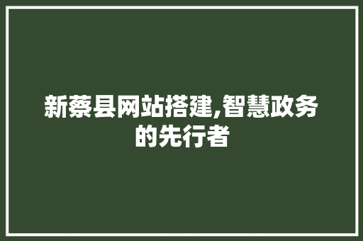 新蔡县网站搭建,智慧政务的先行者