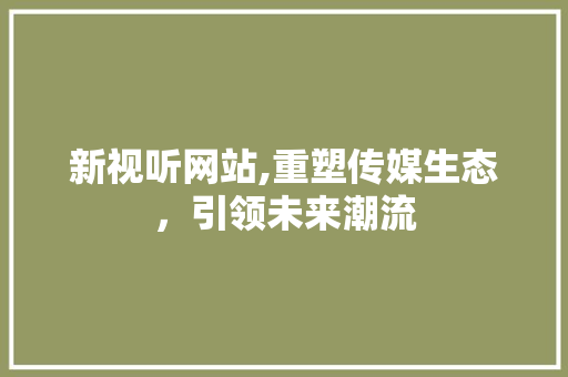 新视听网站,重塑传媒生态，引领未来潮流