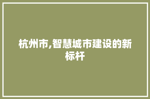 杭州市,智慧城市建设的新标杆