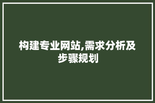 构建专业网站,需求分析及步骤规划