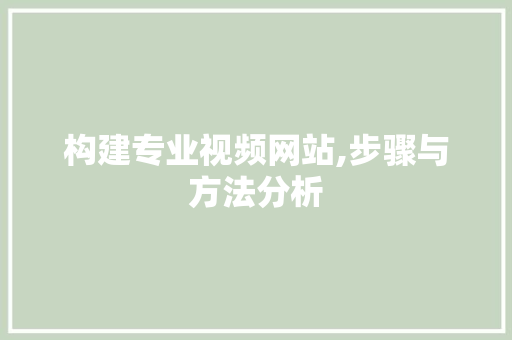 构建专业视频网站,步骤与方法分析